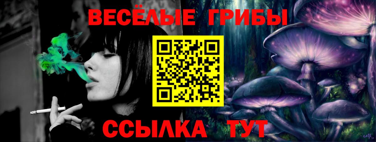 Псилоцибиновые грибы Cubensis Электросталь